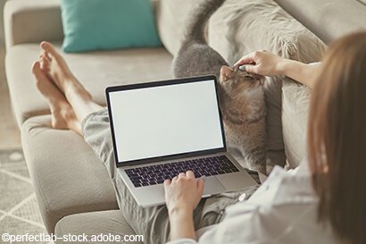 Frau arbeitet am Laptop auf dem Sofa
